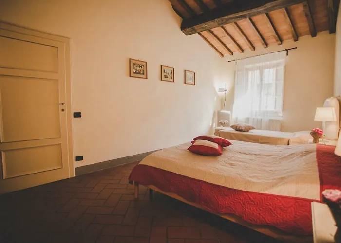 Il Cuore Di Lucca
